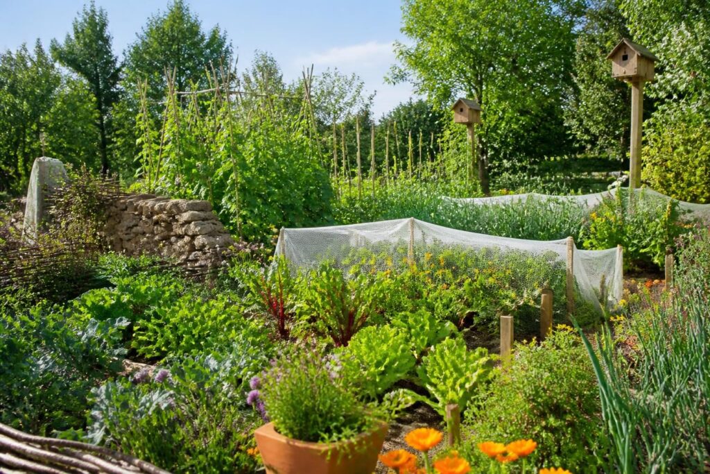découvrez des méthodes naturelles et efficaces pour protéger votre potager des nuisibles tout en préservant son équilibre et sa biodiversité.