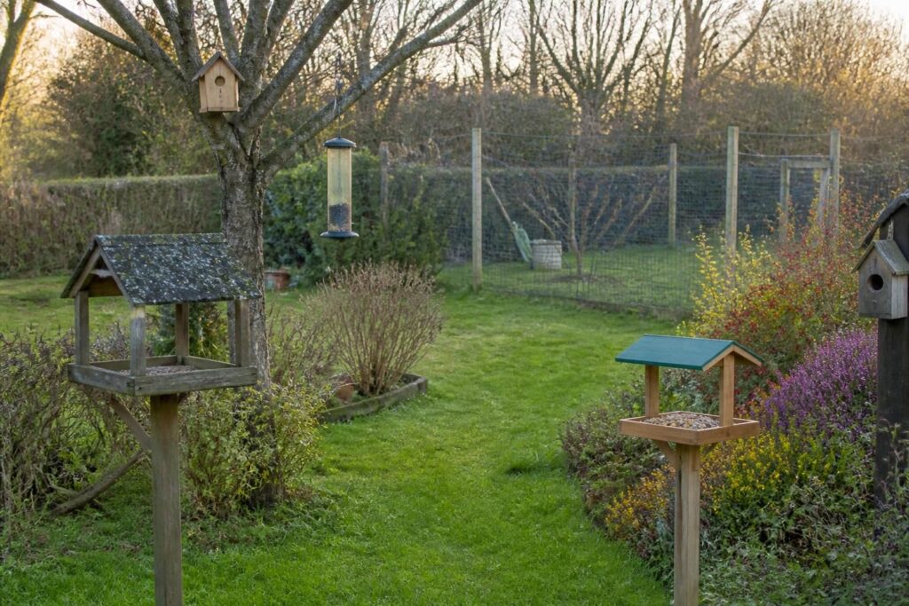 Pourquoi les oiseaux ne viennent plus manger dans mon jardin ? Causes et solutions